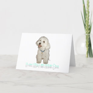Ik hou van mijn kleine witte hond - Havanese Kaart
