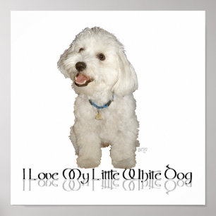 Ik hou van mijn kleine witte hond - Havanese Poster