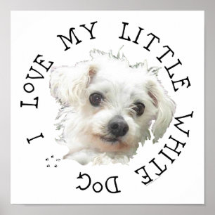 Ik hou van mijn kleine witte hond - Maltese Poster