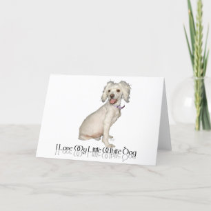 Ik hou van mijn kleine witte hond - poedel / Bicho Kaart