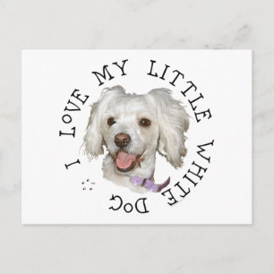 Ik hou van mijn kleine witte hond Poodle / Bichon Briefkaart