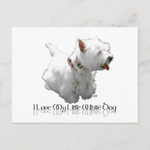 Ik hou van mijn kleine witte hond - Westie Briefkaart