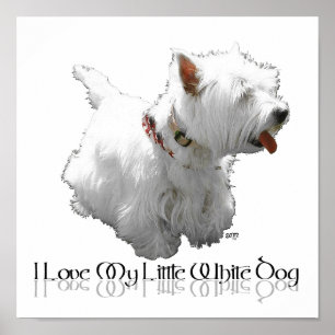 Ik hou van mijn kleine witte hond - Westie Poster