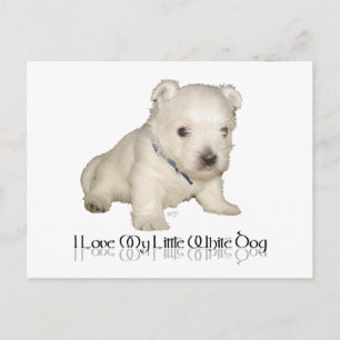 Ik hou van mijn kleine witte hond - Westie Puppy Briefkaart