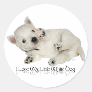 Ik hou van mijn kleine witte hond - Westie Puppy Ronde Sticker