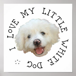 Ik hou van mijn kleine witte rescuehond poster