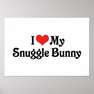 Ik hou van mijn knuffel konijn poster