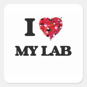 Ik hou van mijn lab vierkante sticker