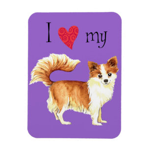 Ik hou van mijn lange kat Chihuahua Magneet