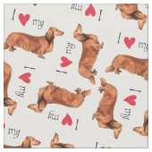 Ik hou van mijn Longhaire Dachshund Stof (Close Up)