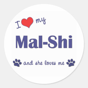 Ik hou van mijn Mal-Shi (Vrouw Dog) Ronde Sticker