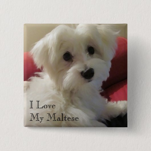 Ik hou van mijn Maltese Button (Voorkant)