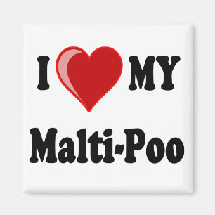 Ik hou van mijn Malti-Poo Dog Magneet