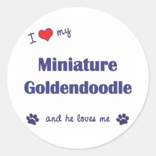 Ik hou van mijn miniatuur Goldendoedel (mannelijk Ronde Sticker