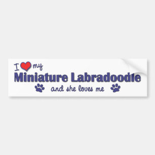 Ik hou van mijn miniatuur labradole (Vrouw Dog) Bumpersticker