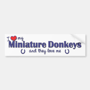 Ik hou van mijn miniatuursleutels (meerdere donors bumpersticker