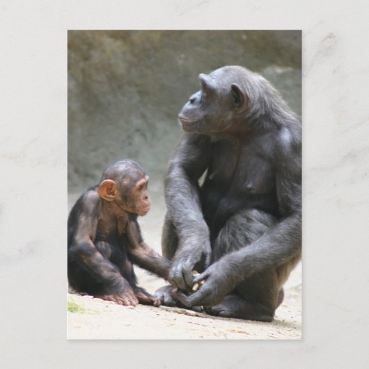 'Ik hou van mijn moeder' Briefkaart (Voorkant)