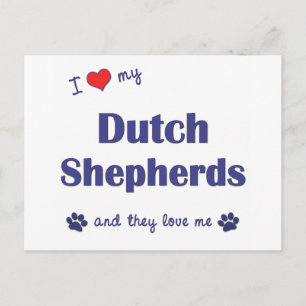 Ik hou van mijn Nederlandse herders (meerdere hond Briefkaart