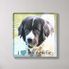 Ik hou van mijn Newfie Newfoundland Black Border Canvas Afdruk
