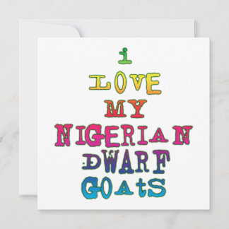 Ik hou van mijn Nigeriaanse dwerggeiten