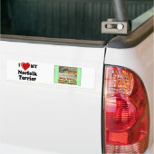Ik hou van mijn Norfolk Terrier Dog Bumpersticker (Op Truck)