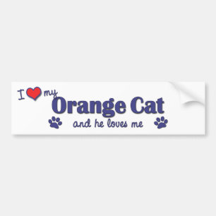 Ik hou van mijn Oranje kat (mannenkat) Bumpersticker