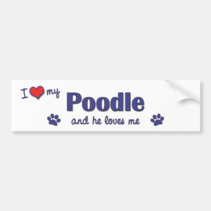 Ik hou van mijn poel (mannelijke hond) bumpersticker