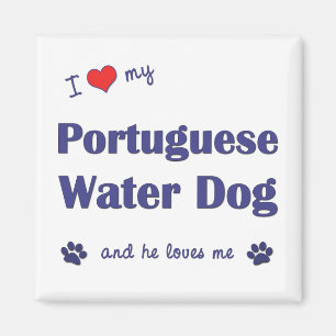 Ik hou van mijn Portugese waterhond (mannelijke ho Magneet