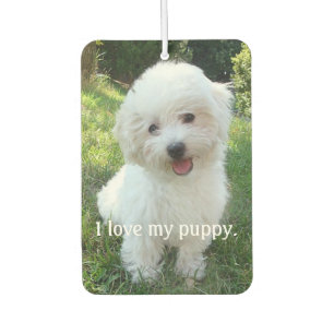 Ik hou van mijn puppy auto luchtverfrisser