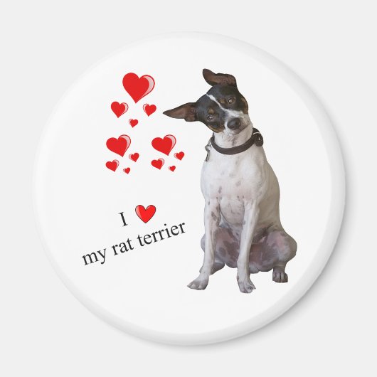 Ik hou van mijn Rat Terrier Magnet Magneet (Voorkant)