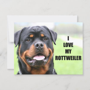 Ik hou van mijn rottweiler briefkaart
