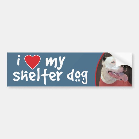 Ik hou van mijn Shelter Dog-Pitbull Bumpersticker/ Bumpersticker (Voorkant)