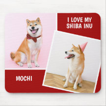 Ik hou van mijn Shiba op twee foto's