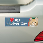 Ik hou van mijn Sinaasappel Kitten Bumpersticker (Op auto)