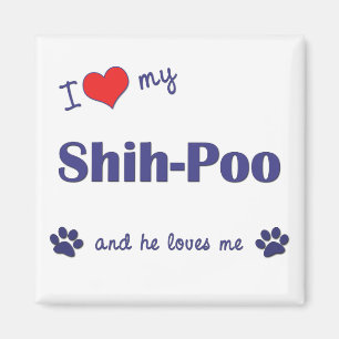 Ik hou van mijn sjiiet-poo (mannelijk hond) magneet