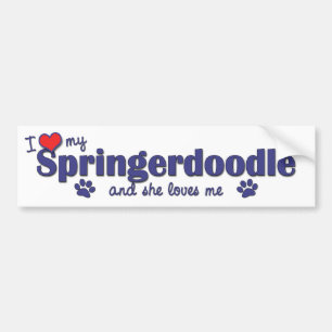 Ik hou van mijn Springerdoodle (Vrouw Dog) Bumpersticker
