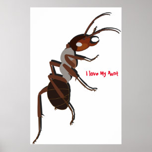 Ik hou van mijn tanteposter poster