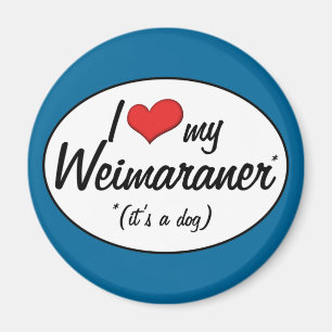 Ik hou van mijn weimaraner (het is een hond) magneet