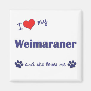 Ik hou van mijn weimaraner (Vrouw Dog) Magneet
