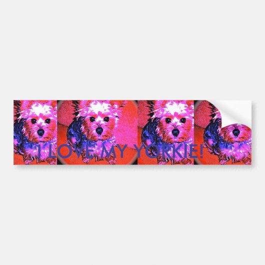 IK HOU VAN MIJN YORKIE! Bumpersticker (Voorkant)