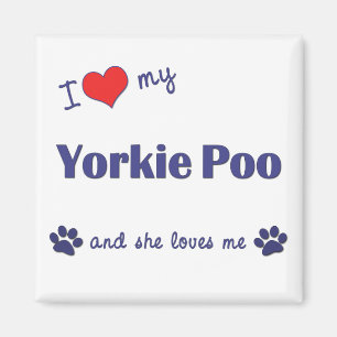Ik hou van mijn Yorkie Poo (Vrouw Dog) Magneet