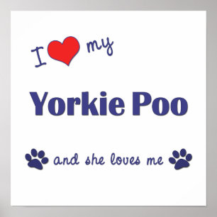 Ik hou van mijn Yorkie Poo (Vrouw Dog) Poster