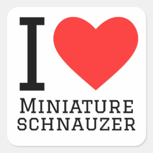 Ik hou van miniatuur schnauzer vierkante sticker
