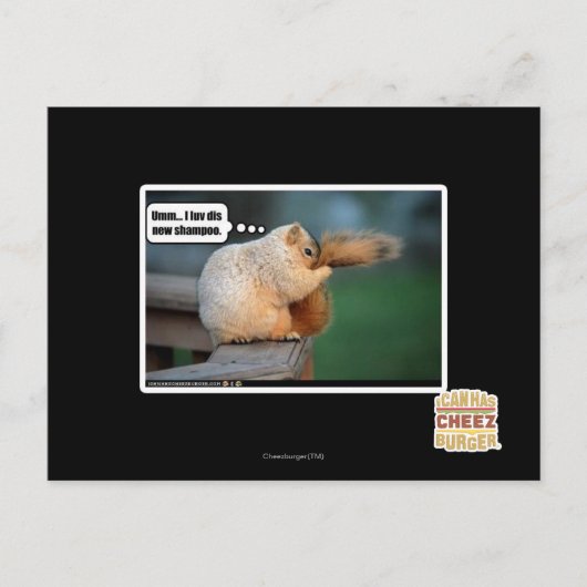 Ik hou van nieuwe shampoo briefkaart (Voorkant)