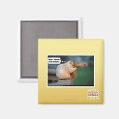 Ik hou van nieuwe shampoo magneet (Voorkant / Achterkant)