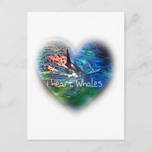 Ik hou van Orca Whales in hartengeschenken Briefkaart