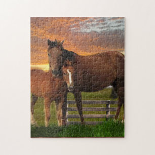 Ik hou van paarden legpuzzel