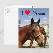 Ik hou van paarden western paard briefkaart (Voorkant / Achterkant)