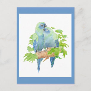 Ik hou van Parrots, Tropisch Collectie Briefkaart