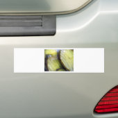 Ik hou van Pickles Bumpersticker (Op auto)